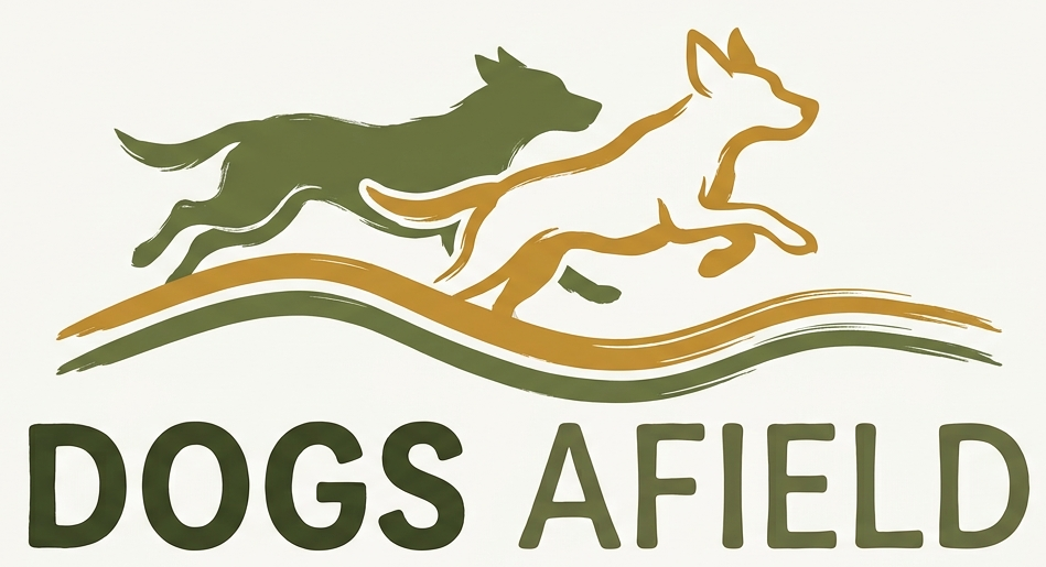 DogsAfield